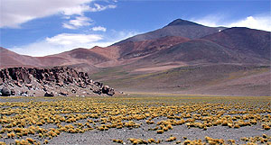 The colours of the desert around Santa Rosa