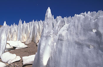 Penitentes