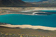 Laguna Verde