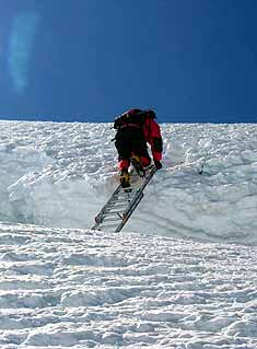 Ladder in icefall