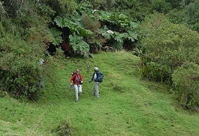 Our trek beings through a lush rai