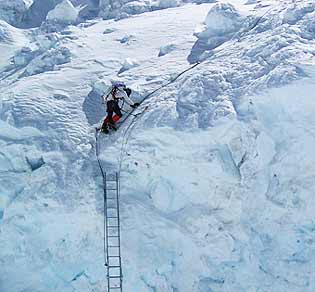 Garry Porter at the top of multi-ladder section