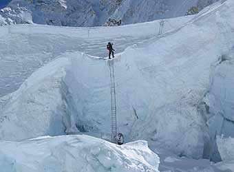 The 5-ladder section