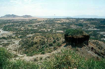 The famous Olduvai Gorge is full of anthropological wonders
