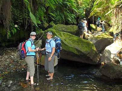 Hiking through the streams