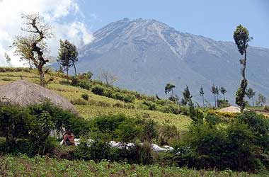 Mt. Meru