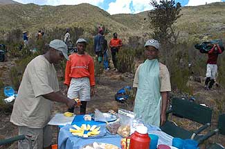 Lunch is served!