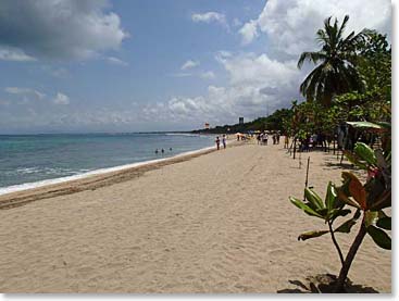 The stunning beaches of Bali 