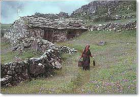 Pasture