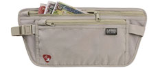 travel wallet
