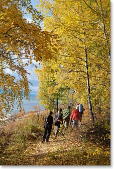 The enchanting colors of an autumn forest.
