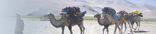 Header image: A world of extraordinary adventure travel