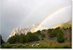 High Central Asian mountain beauty 