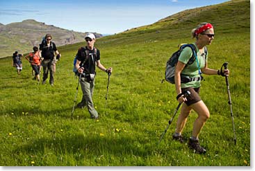 The summers in Iceland are lush and enchantingly green