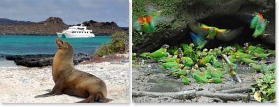 Galapagos and Amazon Jungle