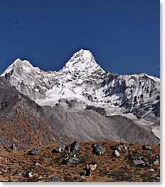 Ama Dablam base camp 