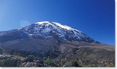 A beautiful view of Kilimanjaro