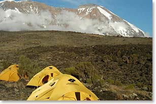The team settles in at Shira Camp