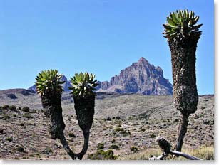 View of moorland and Mawenzi volcano