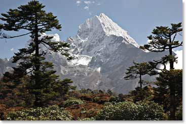 The beautiful snow capped peaks surround the group on their trek
