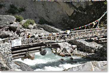 Yaks follow the group as they haul all their gear to Tengboche