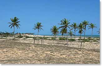 This photo can be a little deceiving. There is actually an old village buried under the sand! Nearby is a new town that has been built with all new buildings. 