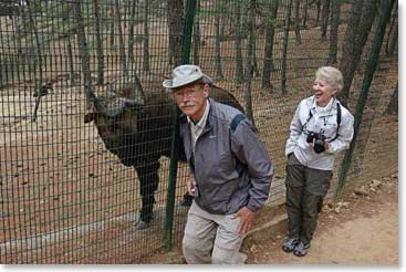 Jim and Janet at the National Zoo with one of the world’s strangest creatures, the Takin