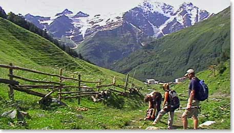 Beautiful glacier views from the green hillside