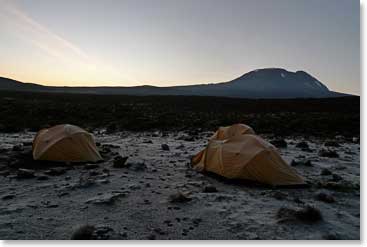 Morning frost at Shira 1 Camp