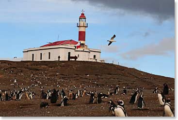 A great place to visit. After 1 1/2 hours we left the penguins to their business and sailed away.