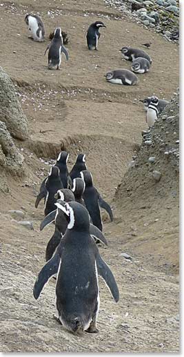 Then someone starts off with a sense of direction or purpose and others will follow.