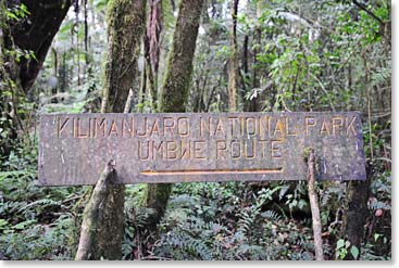 They drove to the isolated Umbwe Gate entrance to Kilimanjaro National Park