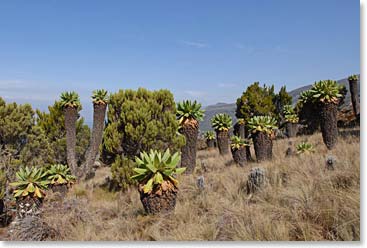 One of the beautiful and undisturbed scenes we pass on the Pofu Route.