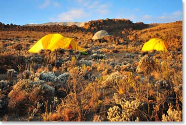 We’ll spend tonight at the remote Pofu Camp.