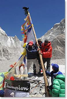 A Chumo, a scared bird of the Himalayas, always arrive when we do pooja. In this case one has landed on the top of the Prayer flag pole before it is even completely raised.