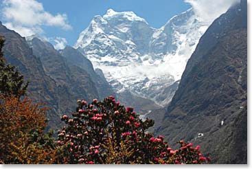 A splash of colour in the Khumbu