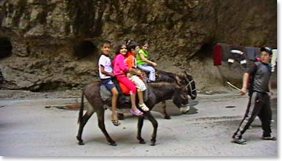 Not everyone drives a car in the Caucasus!