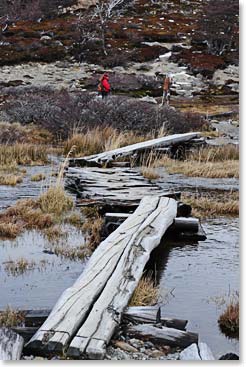 Total wilderness