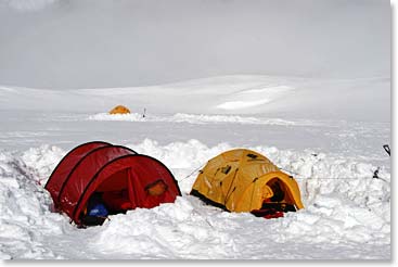 Snowed In