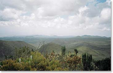 Hiking through the serene Shira Plateau