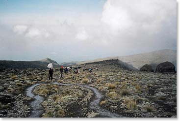 Into the mist