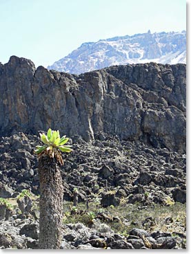 Approaching the notorious Barranco Wall