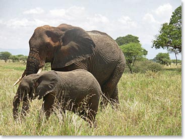 Mother and child