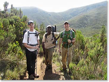 Emerging from the forest onto the Shira Plateau