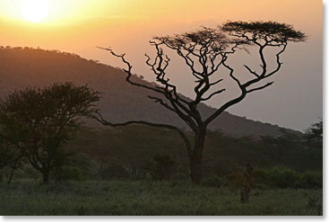 A Serengeti sunset