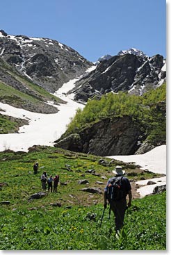 Climbing higher up into beautiful meadows