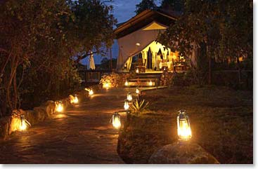 Nighttime at Migration Camp