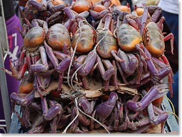 Fresh crabs, literally alive and kicking