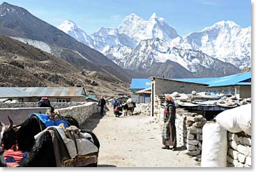 The main trail to Everest Base Camp which runs straight through Pheriche