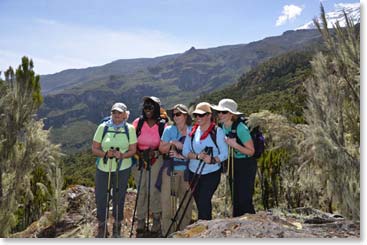 Some of the girls posed for a photo near the top of the forest